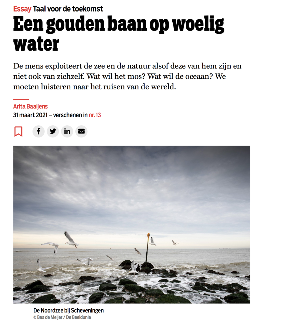 Essay Gouden baan op woelig water