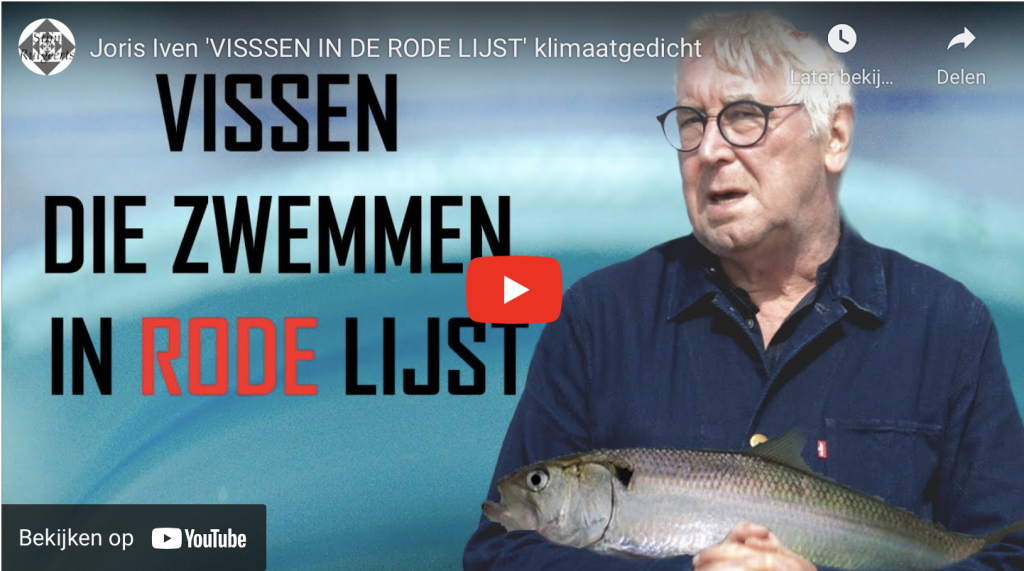 VISSEN DIE ZWEMMEN IN DE RODE LIJST