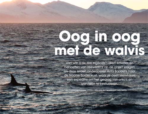 OOG VAN DE WALVIS