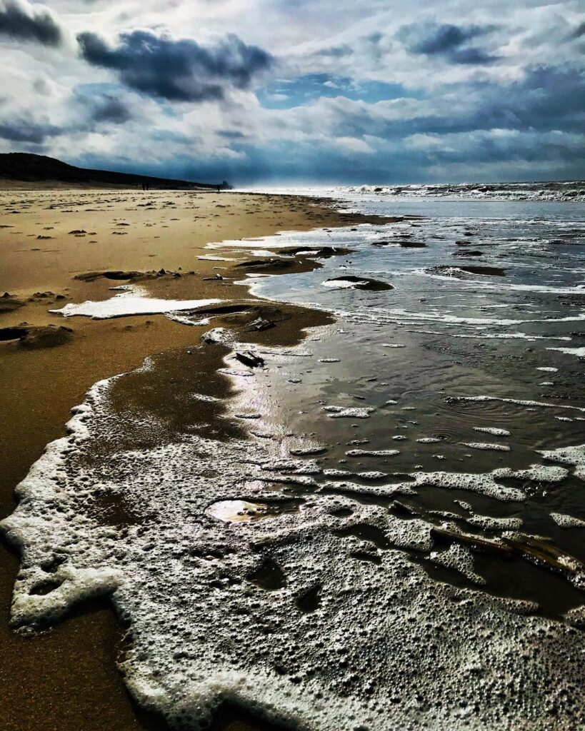 NOORDZEE, WIE BEN JE?