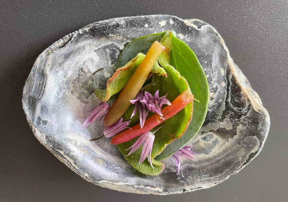 VEGAN OESTER